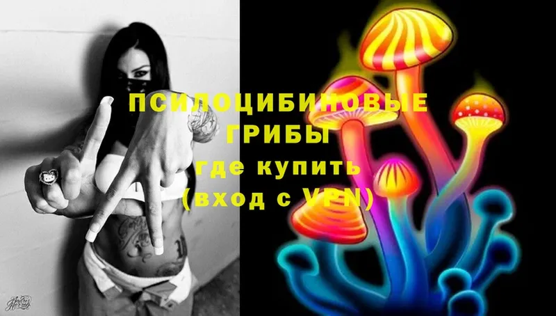 Псилоцибиновые грибы MAGIC MUSHROOMS  Горно-Алтайск 